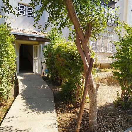 Haifa Lux Apartments E&S エクステリア 写真